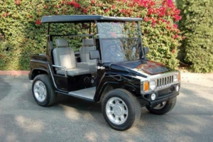 affordable golf cart rental, golf cart rent new jersey golf cart rental 