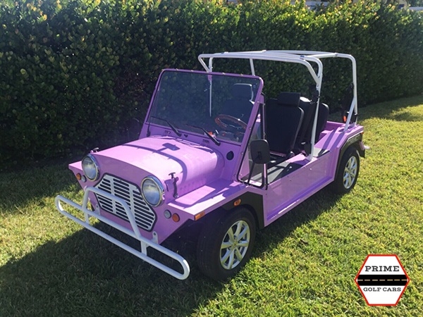 affordable golf cart rental, golf cart rent new jersey golf cart rental 
